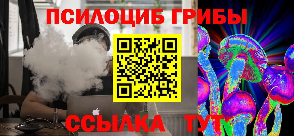 Галлюциногенные грибы Psilocybe Рузаевка