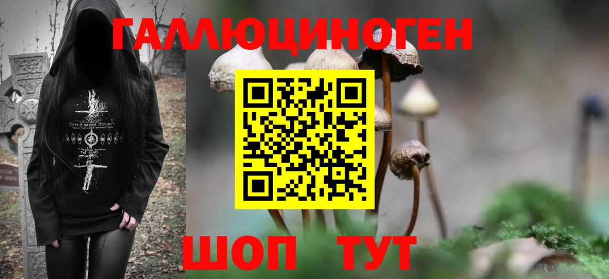 Рузаевка  Псилоцибиновые грибы Psilocybe  Вход с VPN 