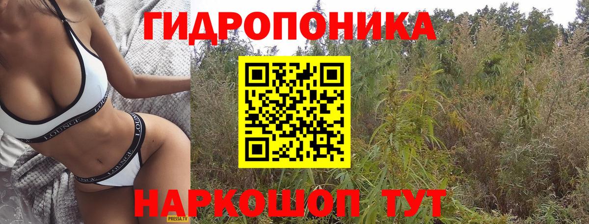 Бошки марихуана тримм  Марихуана VHQ  Вход с VPN  Бошки Шишки White Widow  Рузаевка 